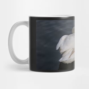 Swan Preening Mug